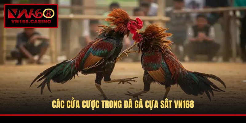 Các cửa cược trong đá gà cựa sắt VN168