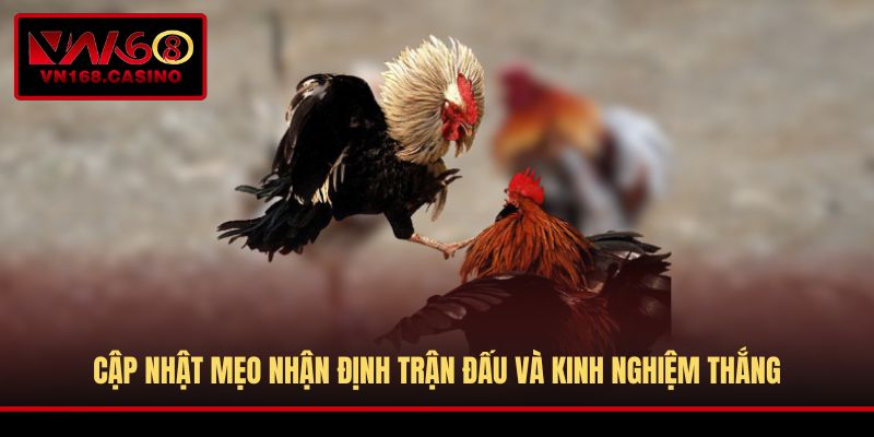 Cập nhật mẹo nhận định trận đấu và kinh nghiệm thắng