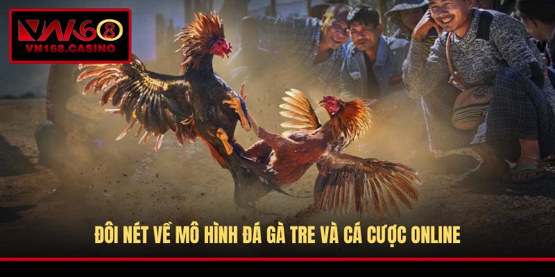 Đôi nét về mô hình đá gà tre và cá cược online