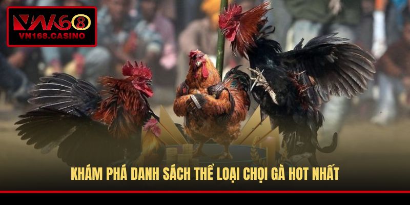 Khám phá danh sách thể loại chọi gà hot nhất