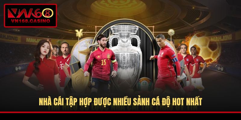 Nhà cái tập hợp được nhiều sảnh cá độ hot nhất