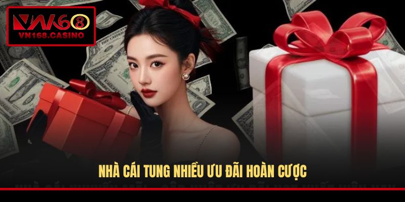 Nhà cái tung nhiều ưu đãi hoàn cược