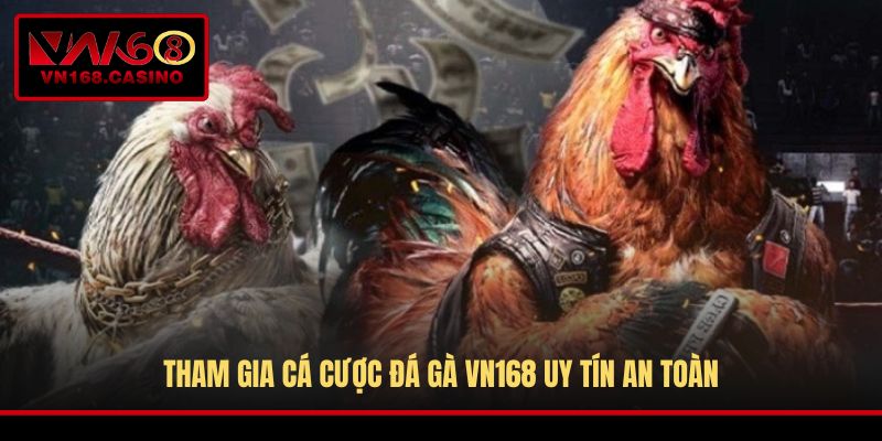 Tham gia cá cược đá gà VN168 uy tín an toàn